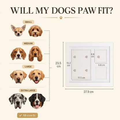 The Clay Paw Print Kit